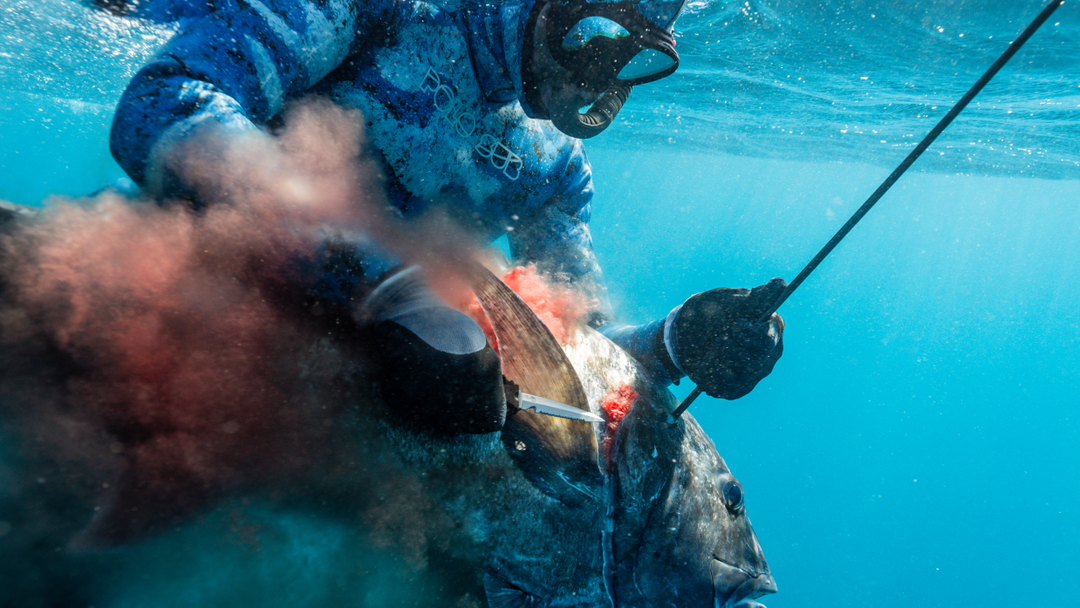 7 Seas T1 Series Titanium Dive Knife