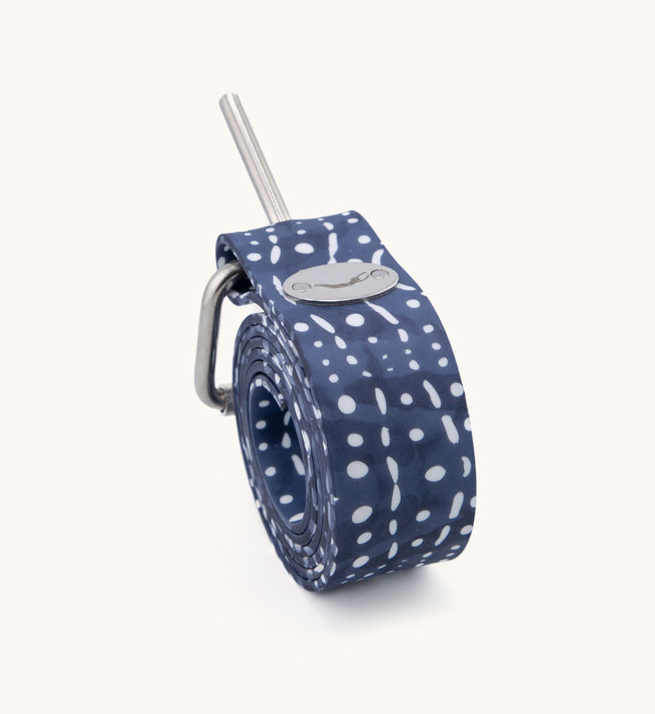 Ceinture de plongée requin-baleine