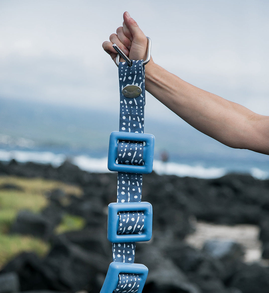 Ceinture de plongée requin-baleine